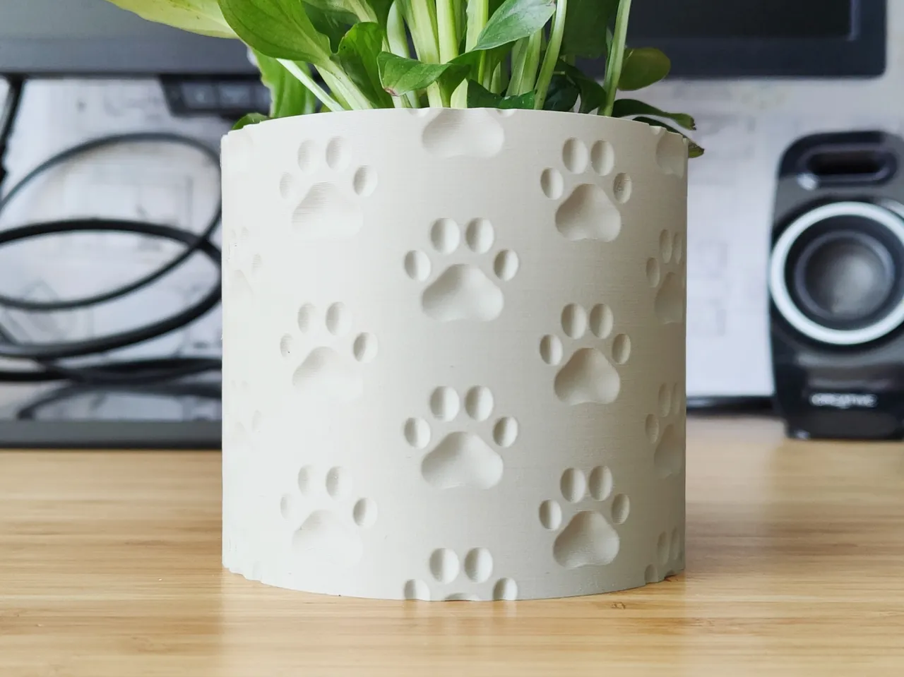 Animal Paw Vase