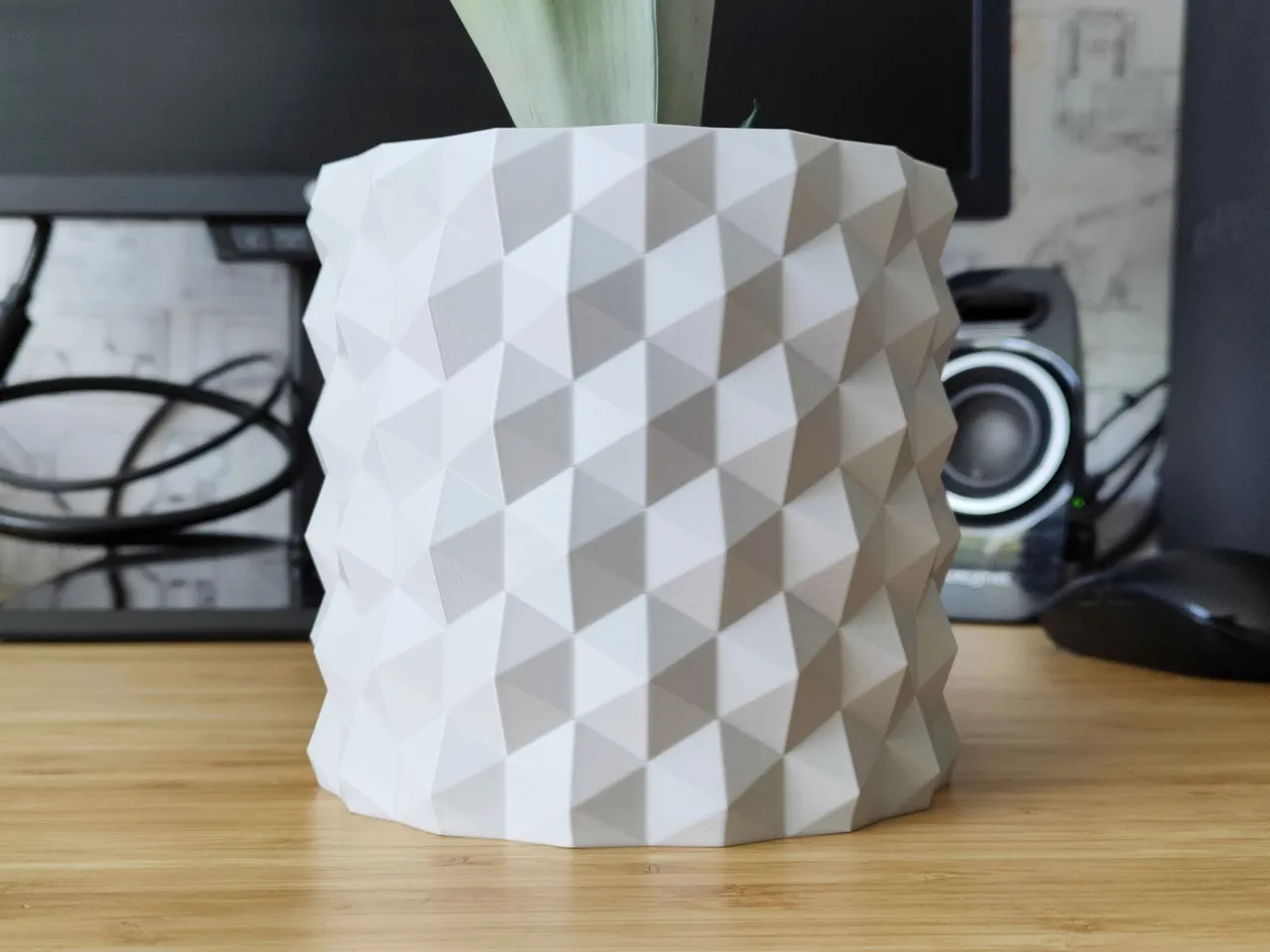 Hexagonal Plant Vase