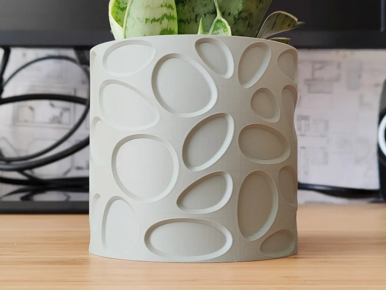 Plant Cell Vase