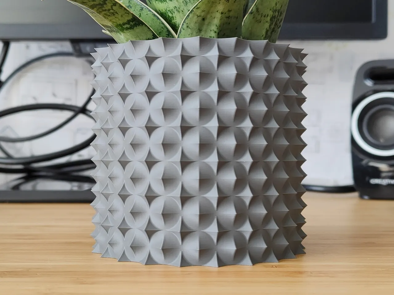 Rose Thorns Vase