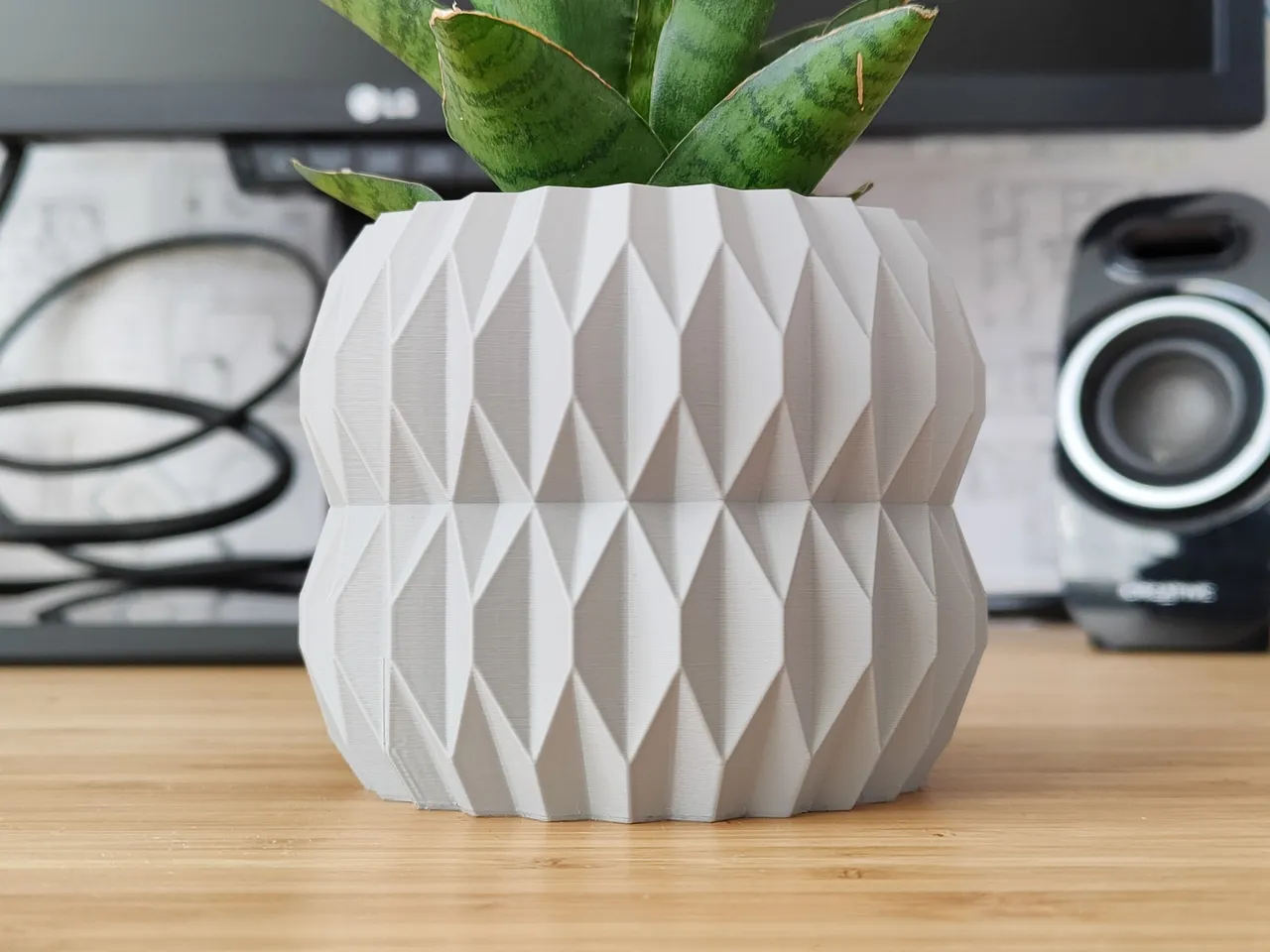 Seashell Vase