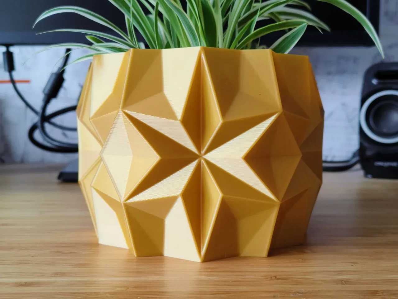 Winter Star Vase